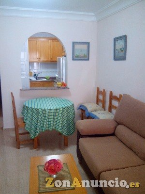 APARTAMENTO JUNTO LA PINADA CENTRO